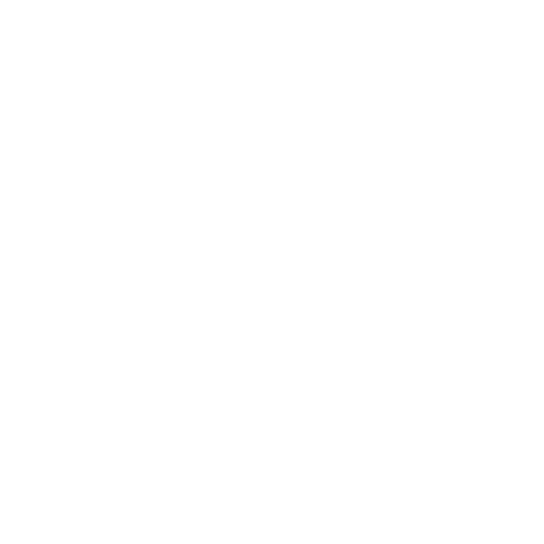 AUREORAN STORE