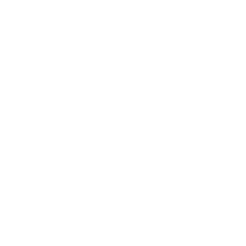 AUREORAN STORE